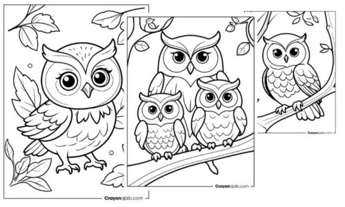 Simple owl coloring pages for preschoolers crayonajaib