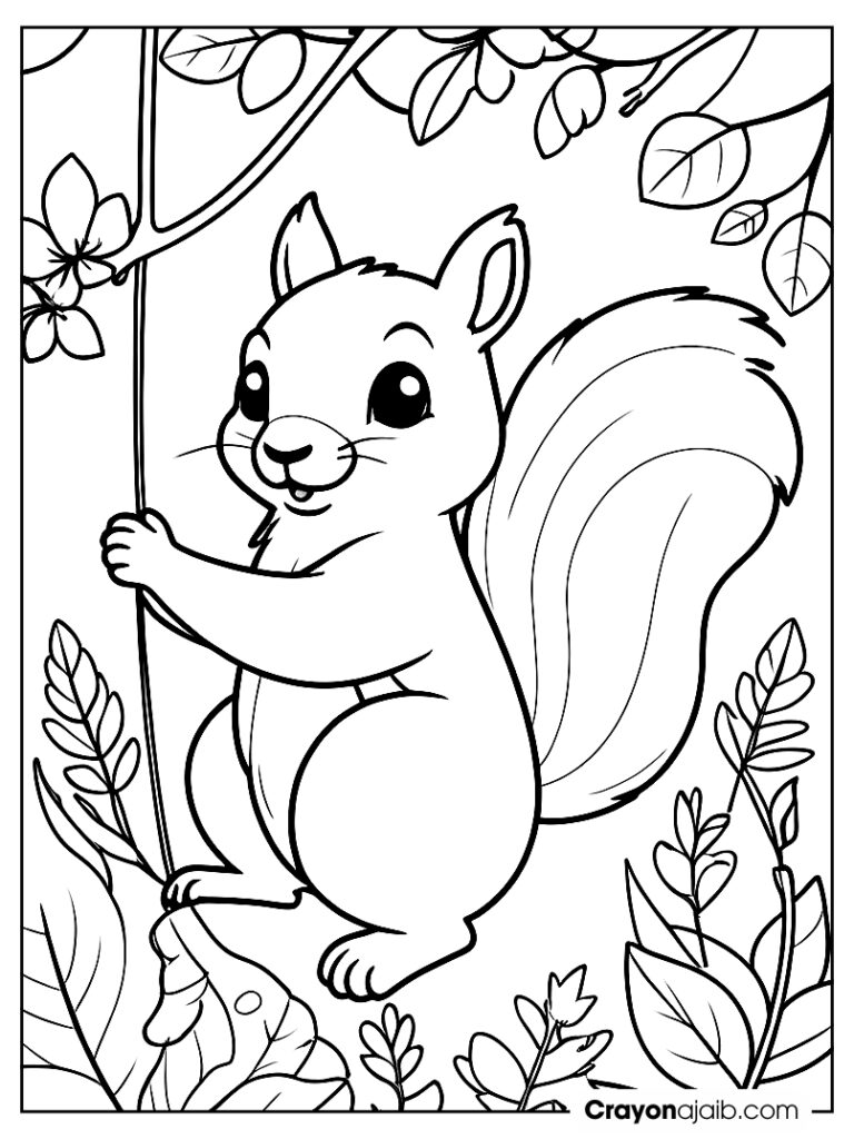 Squirrel swinging coloring page ca