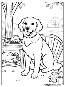 Thanksgiving turkey and golden retriever coloring page