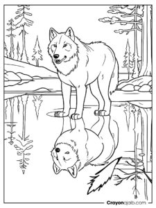 Wolf looking at lake coloring page ca