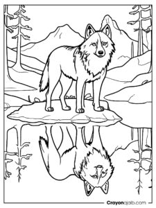 Wolf reflection in lake coloring page ca