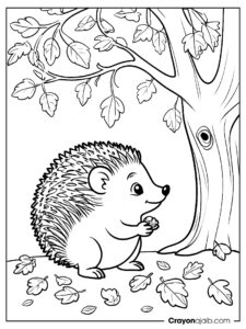 Young hedgehog with acorn coloring page ca