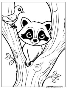 Accoon and bird coloring page ca