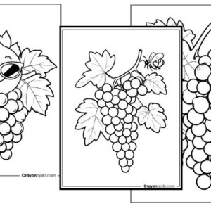 New printable grape coloring sheets for kids crayonajaib