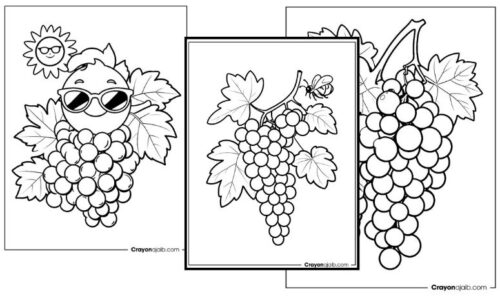 New printable grape coloring sheets for kids crayonajaib